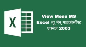 View Menu MS Excel व्यू मेनू माइक्रोसॉफ्ट एक्सेल 2003