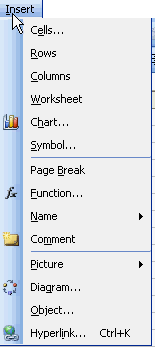 Insert Menu in MS Excel